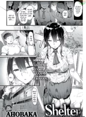 truyen-shelter.jpg