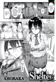 truyen-shelter.jpg