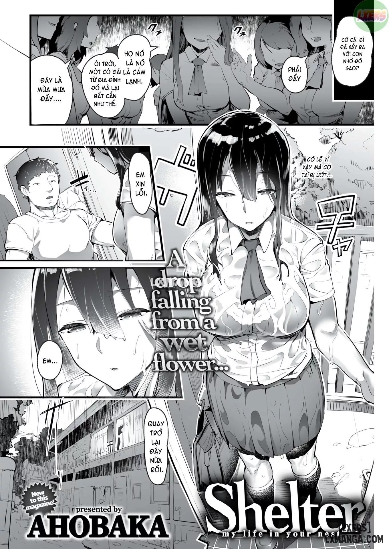 truyen-shelter.jpg
